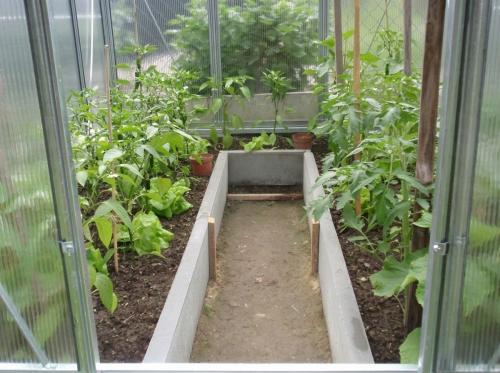 skleník LANITPLAST LIMES Viva V6/4 1,97x4 m PC 4 mm