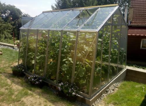 skleník LANITPLAST LIMES Viva V7/6  2,47x5,95 m číre sklo 3 mm